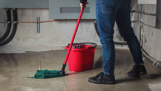 Best Professional water damage repair  in Laurie, MO